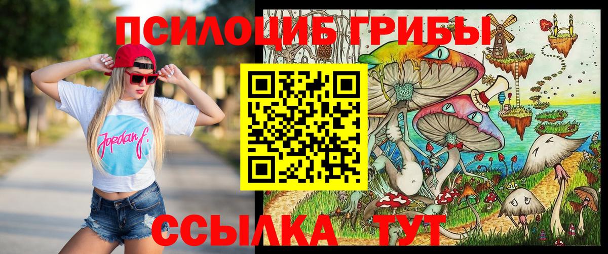 Галлюциногенные грибы мицелий  Вход с VPN  Псилоцибиновые грибы Cubensis  Среднеуральск 